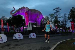 BIB: 
                            <button type="button" onclick="openModal(26529720)" class="btn btn-primary btn-sm float-right btn-popup" data-toggle="modal" data-target=".modal-high-quality">
                        <i class="fas fa-shopping-cart"></i> Add to Cart
                    </button>
                                            <button type="button" onclick="isThisMe(26529720, true)" class="btn btn-success btn-sm float-right btn-popup btn-isme hidden" data-toggle="tooltip" data-placement="bottom" title="นี่คือรูปของคุณใช่ไหม คลิกที่นี่เพื่อเอาเข้าอัลบั้ม">
                        <i class="fas fa-plus"></i> Add to album
                    </button>
                    <button type="button" onclick="isThisMe(26529720, false)" class="btn btn-warning btn-sm float-right btn-popup btn-isnotme hidden">
                        <i class="fas fa-ban"></i> Remove from album
                    </button>